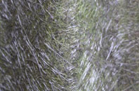 Newton Heath fibreglass roof work